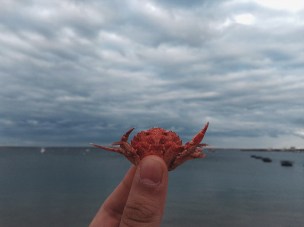 crabby