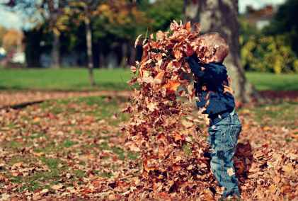 boy playing with fall leaves outdoors